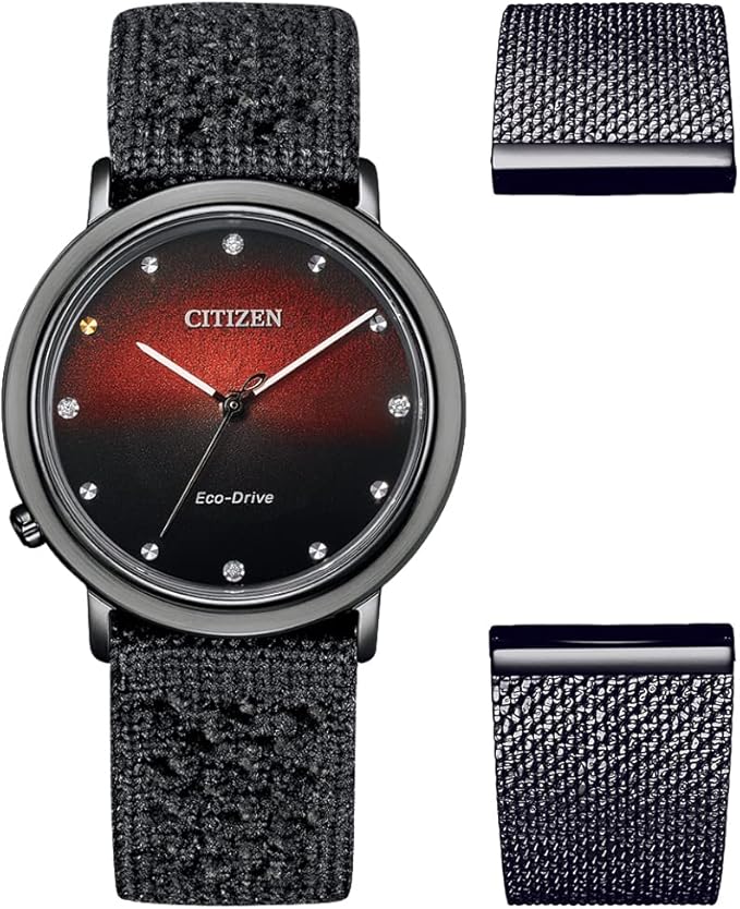 Ceas Dama, Citizen, 10th Anniversary EM1007-47E, Set cu Bratara suplimentara