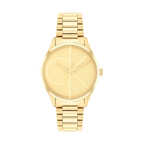 Ceas Dama, Calvin Klein, Iconic 25200346