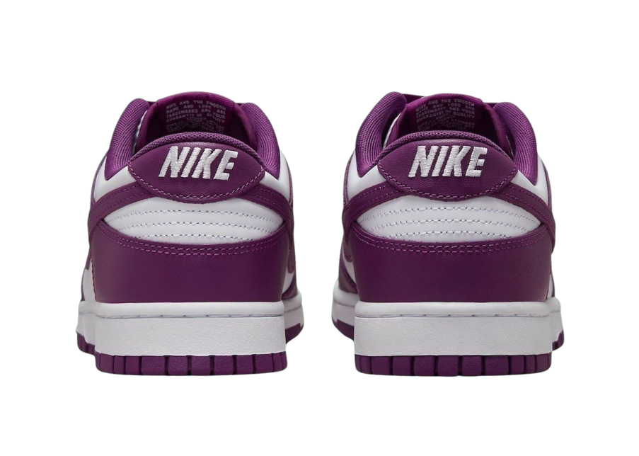 Pantofi Sport Barbati, Nike, Nike Dunk DV0833-107